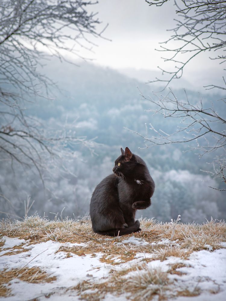 Photograph by Кольцова Мария