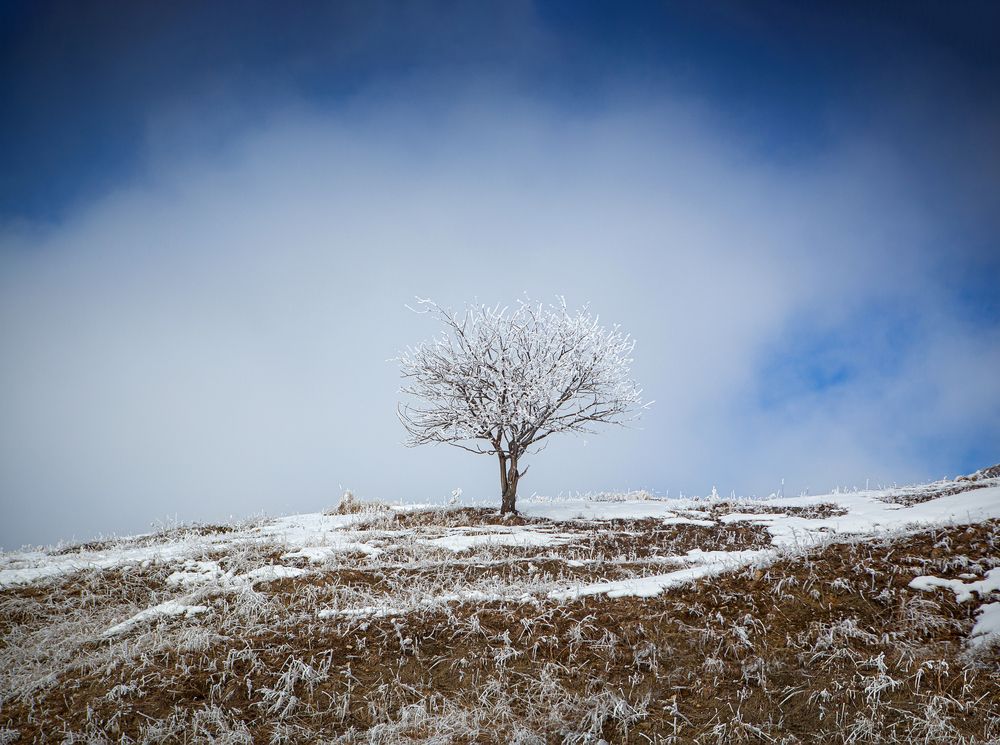 Photograph by Кольцова Мария