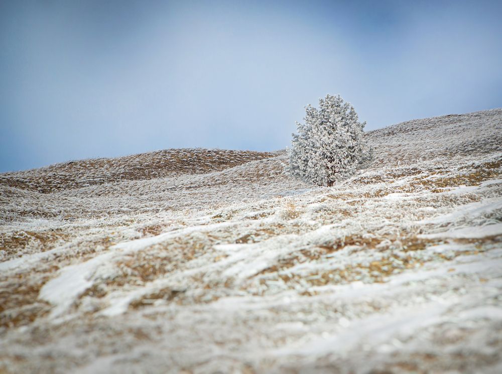 Photograph by Кольцова Мария