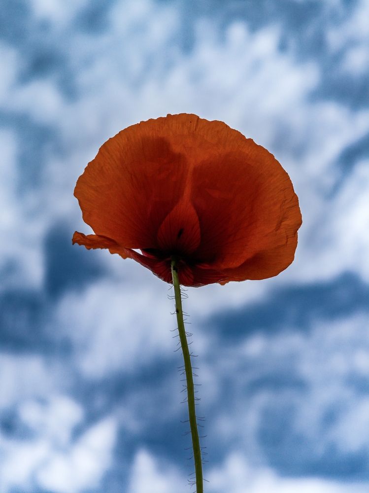 Photograph by Владимир Ли