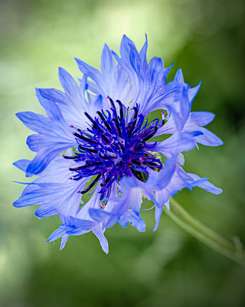 Photograph by Потапова Анна
