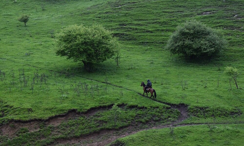 Photograph by Марина Красновид