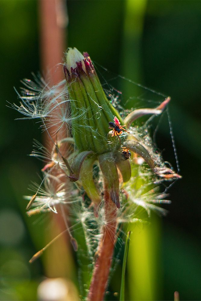 Photograph by Nadezhda Khrustaleva
