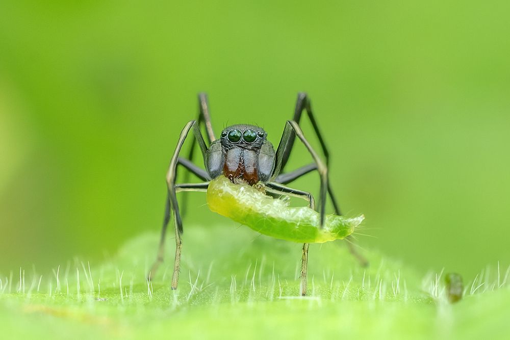 Фотография автора Mukesh Tripathi