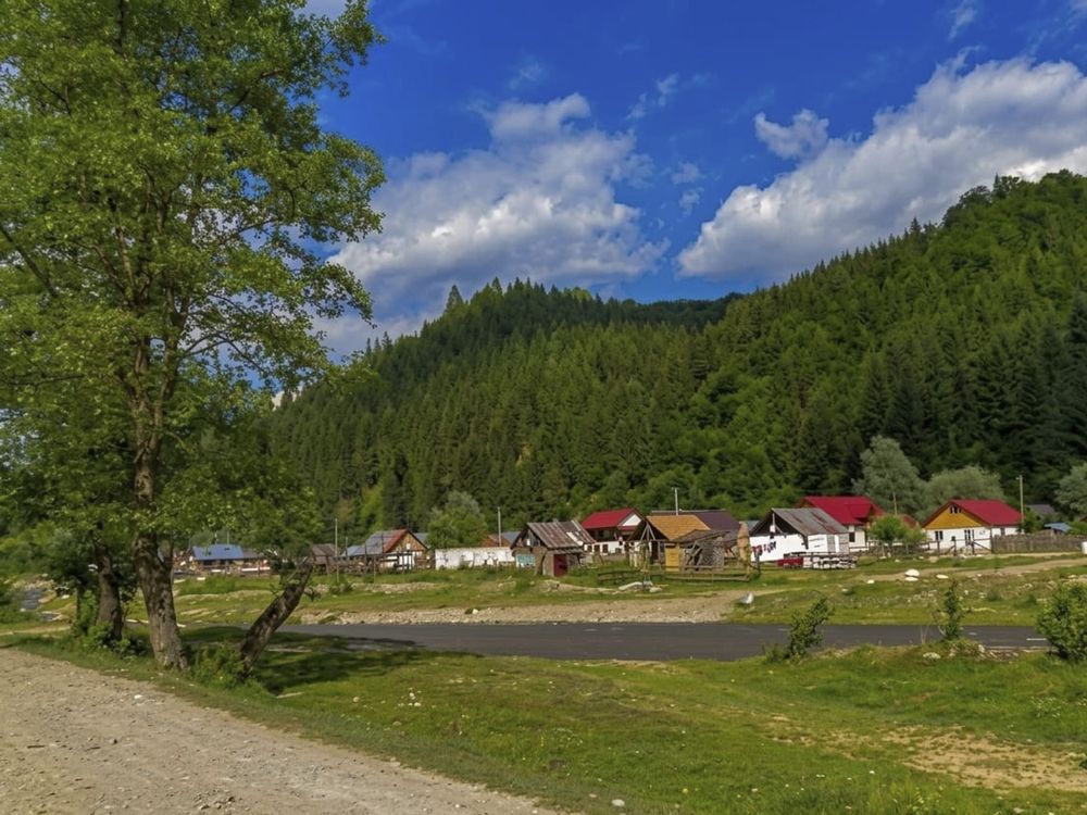 Photograph by Silviu Cojanu