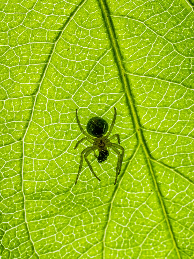Photograph by Евгений Кириллов