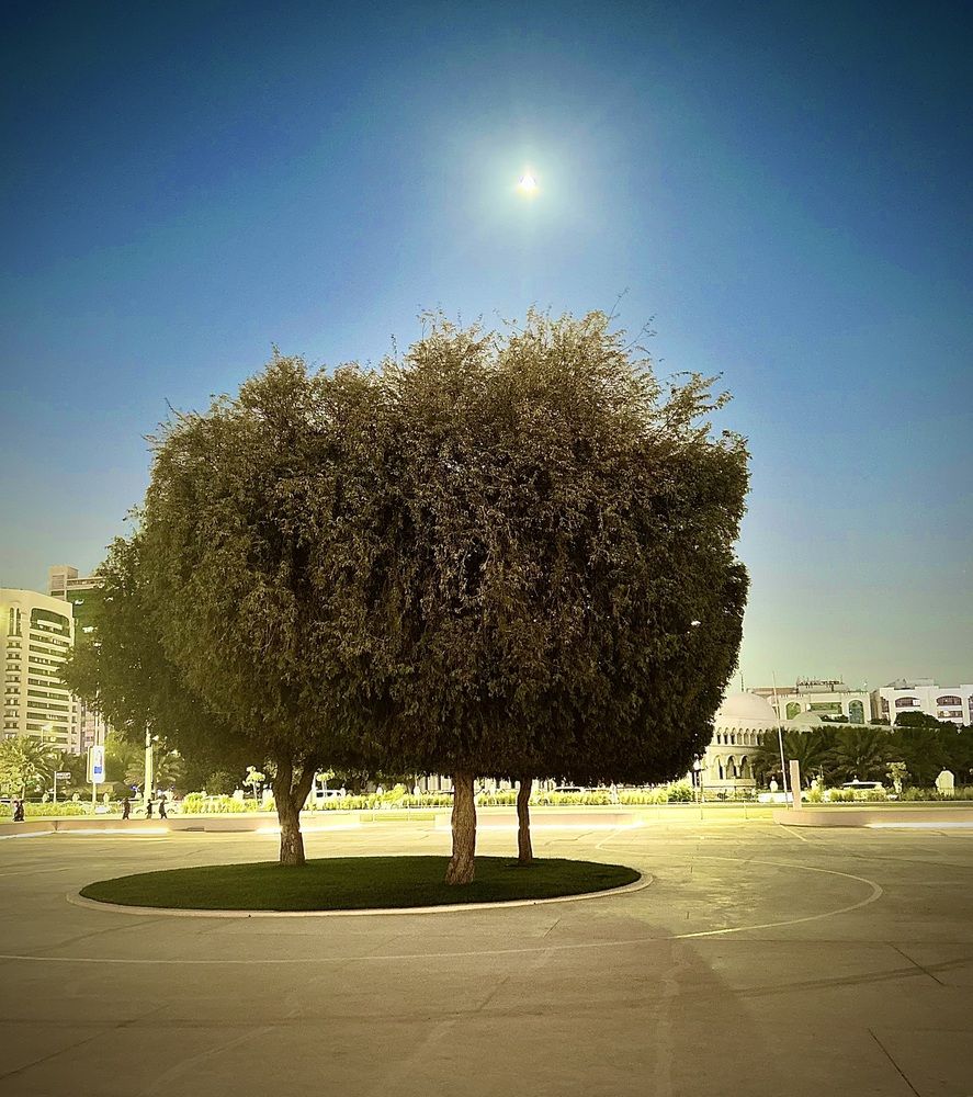 Photograph by Shimaa Mahmoud
