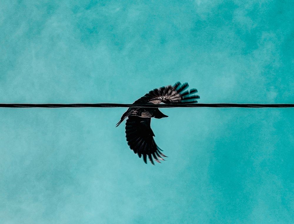 Photograph by Дайана