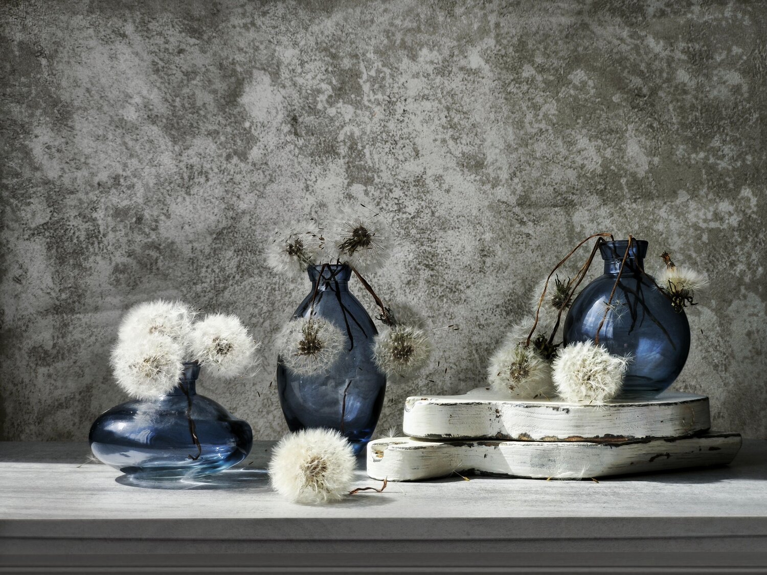 Photo #13647304