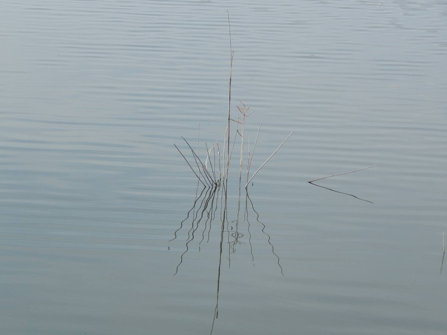 Photo #13647316