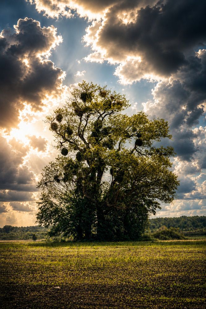 Photograph by Андрей Боиц