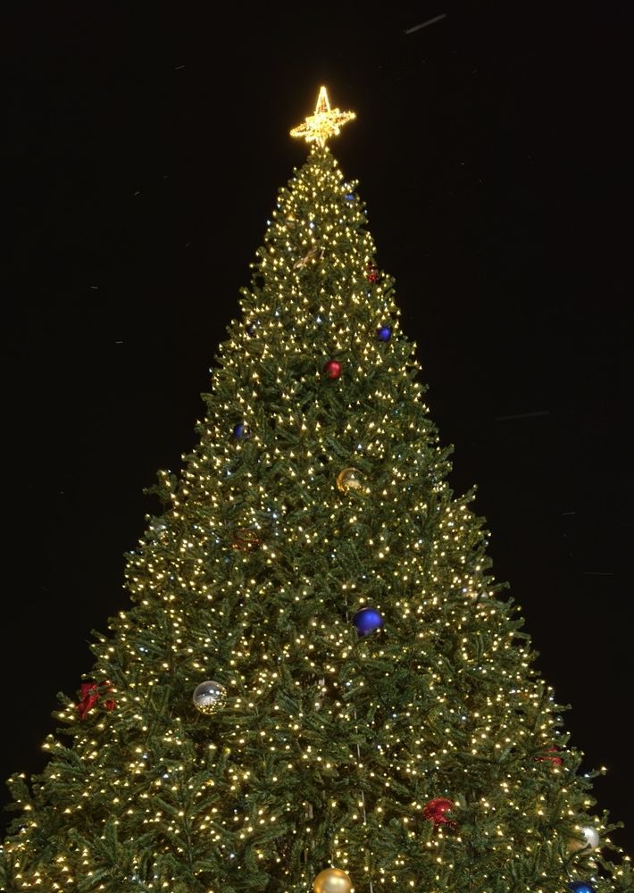 Photo #13647364