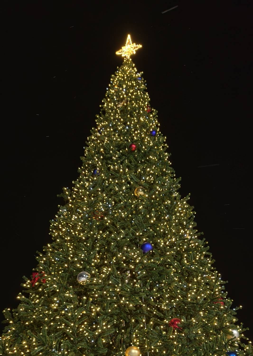 Photo #13647364