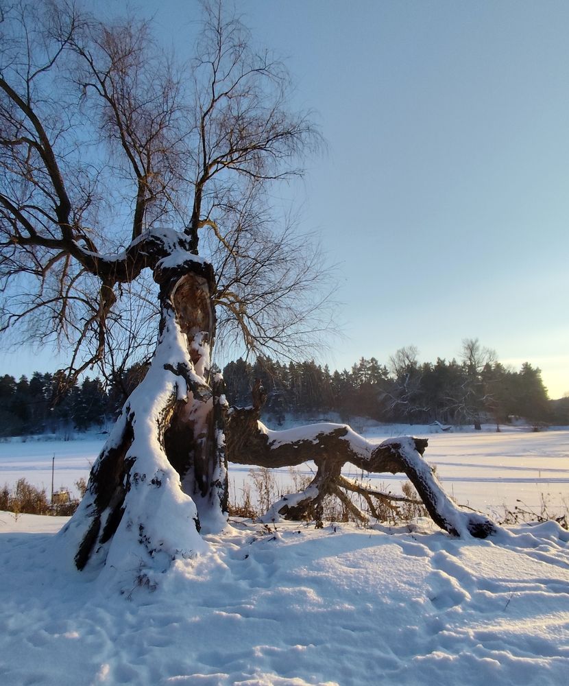 Photograph by Анна Александрова