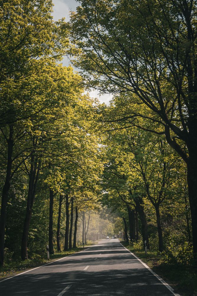 Photo #13647418