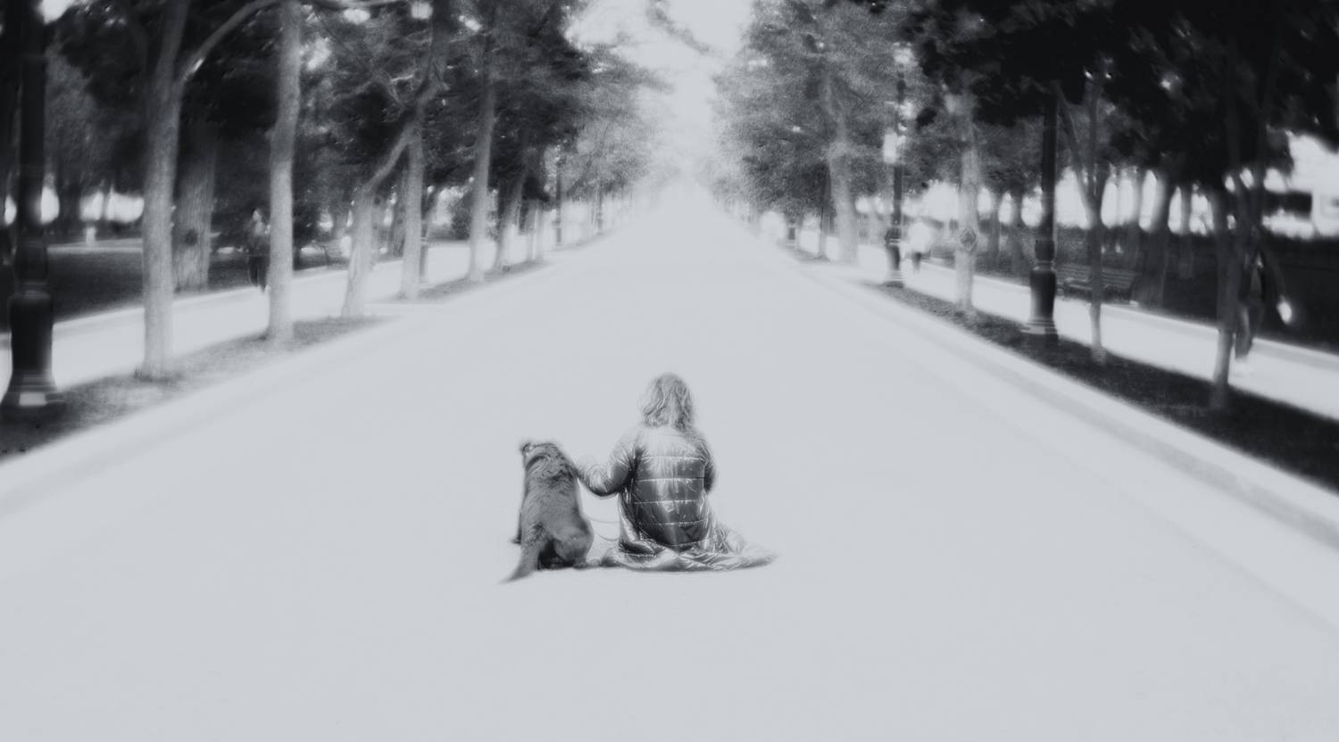 Photo #13647429