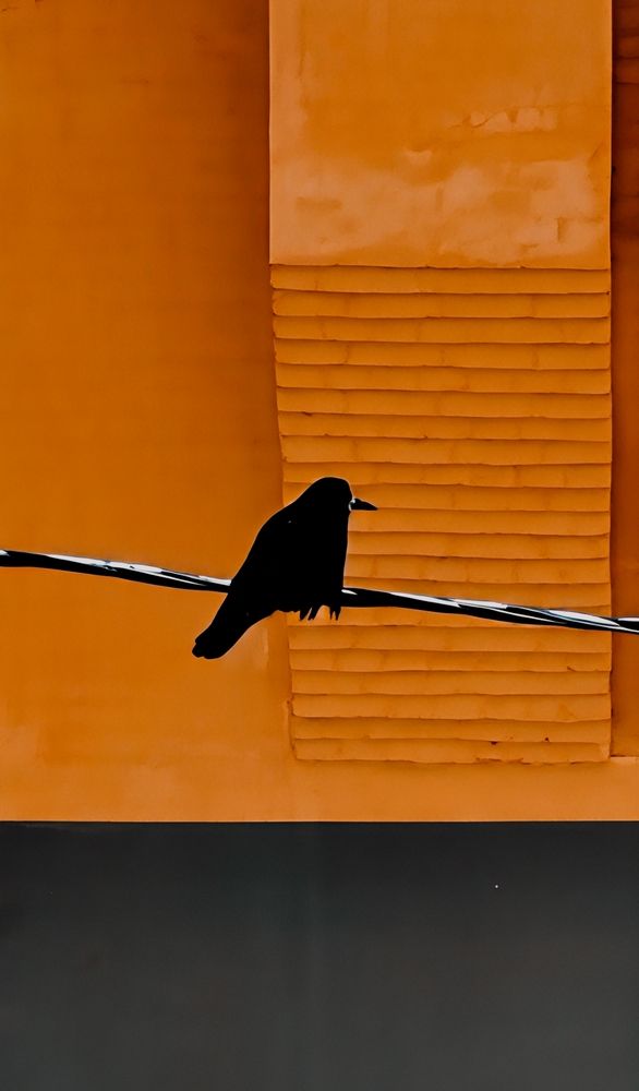 Photograph by Людмила Горячева