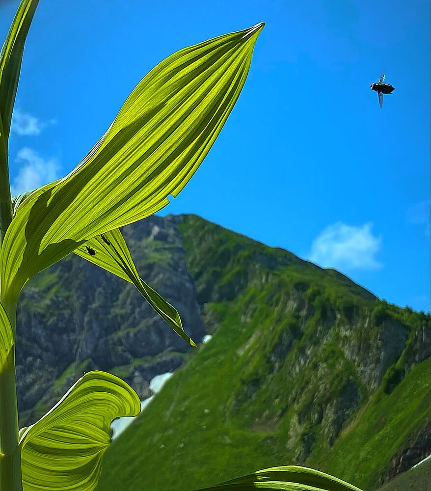 Photograph by Андрей Каёкин