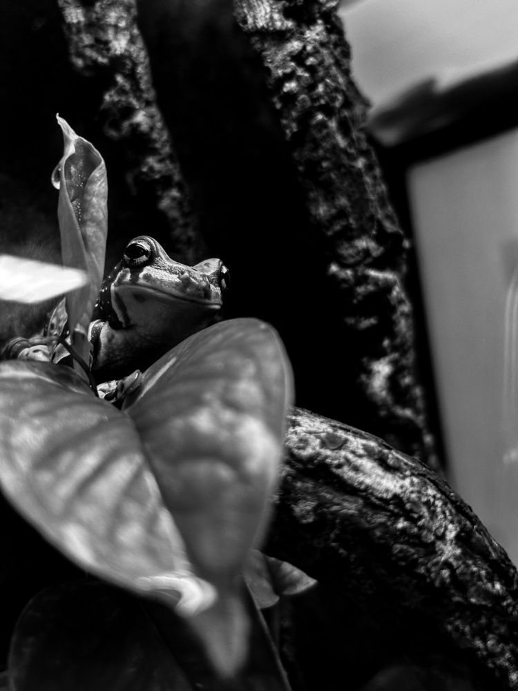 Photograph by Константин Шипицын