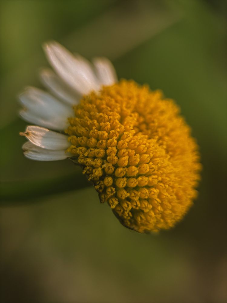 Photograph by Марина Харитонова