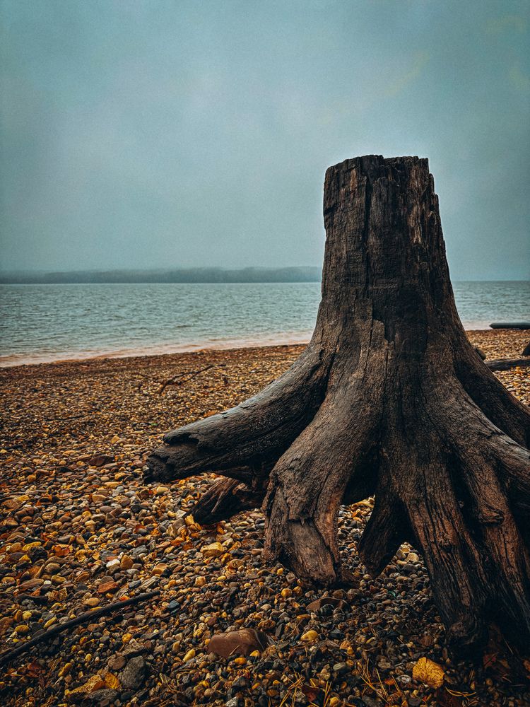 Photograph by Марина Харитонова