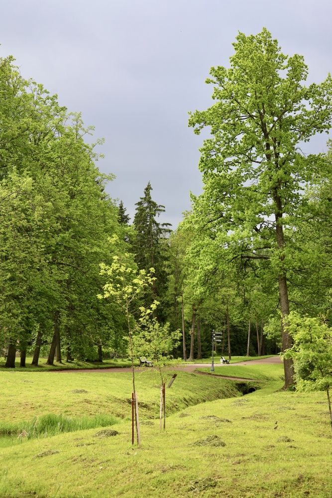 Фотография автора Ирина Чикачёва