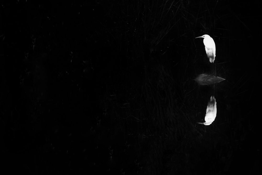 Photograph by fuat cimok