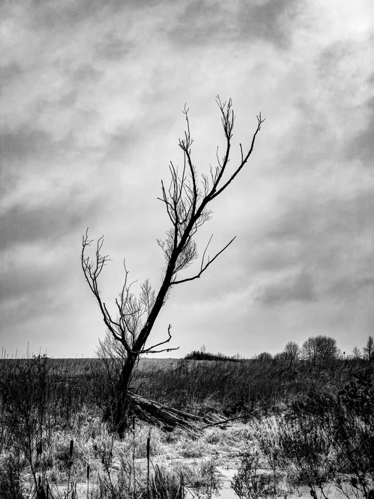Photograph by Наталья Васильева