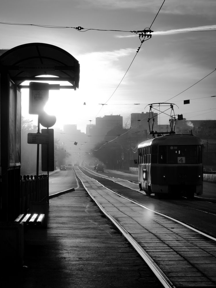 Photograph by Константин Шипицын