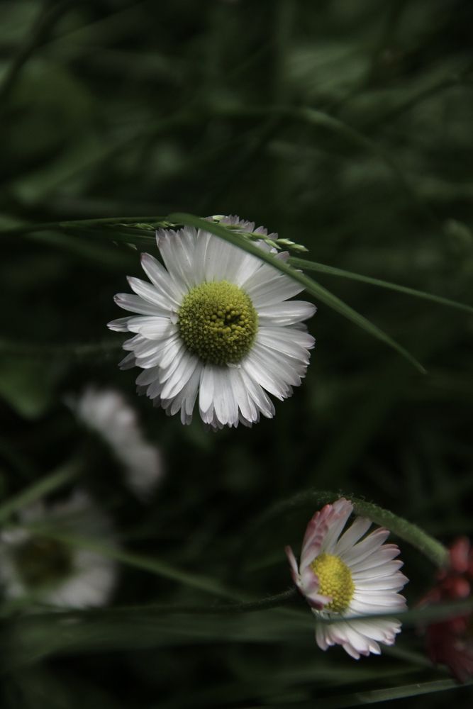 Photograph by Анастасия Псарёва