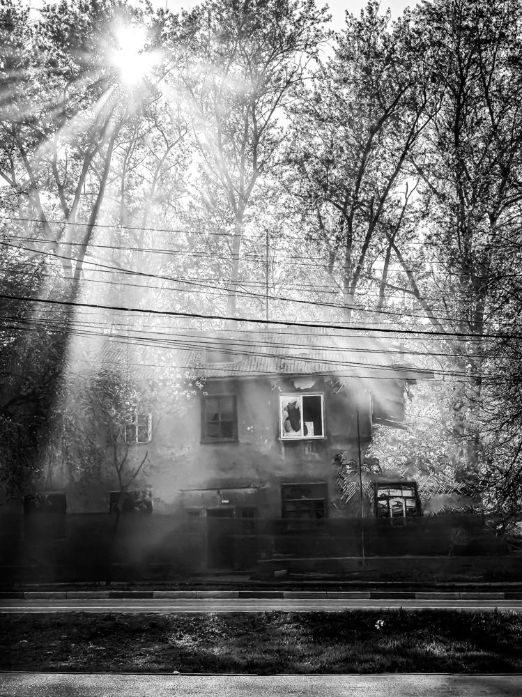 Photograph by Наталья Васильева