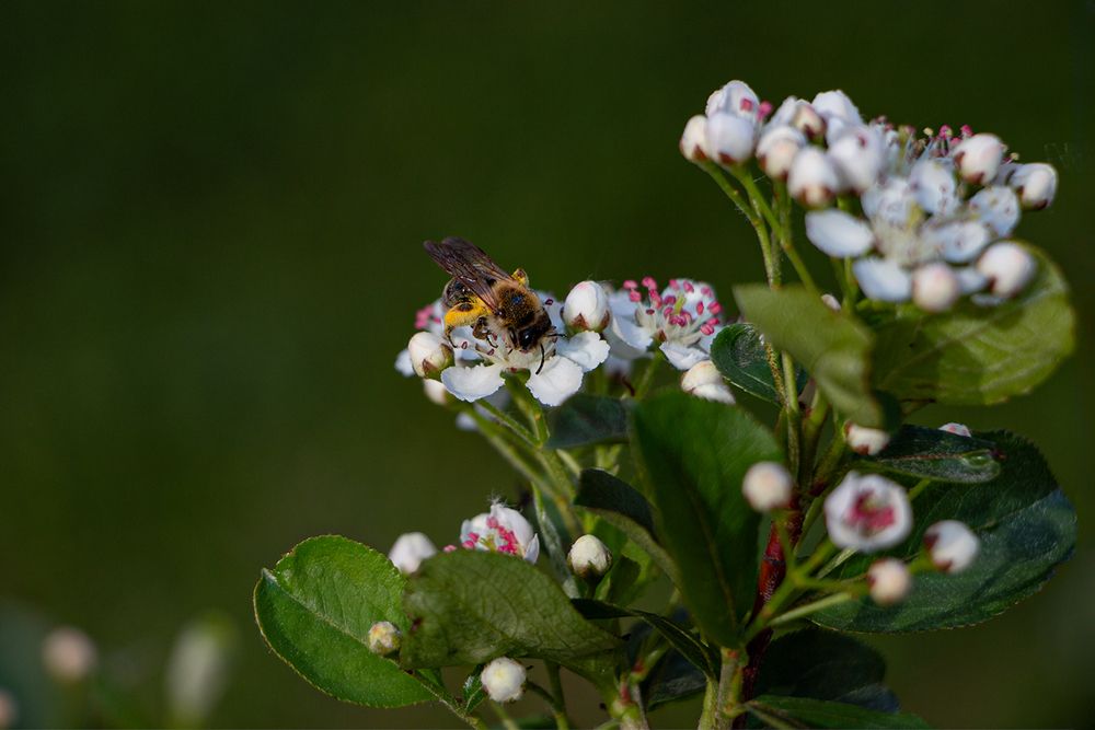 Photograph by Игорь Хрусталёв