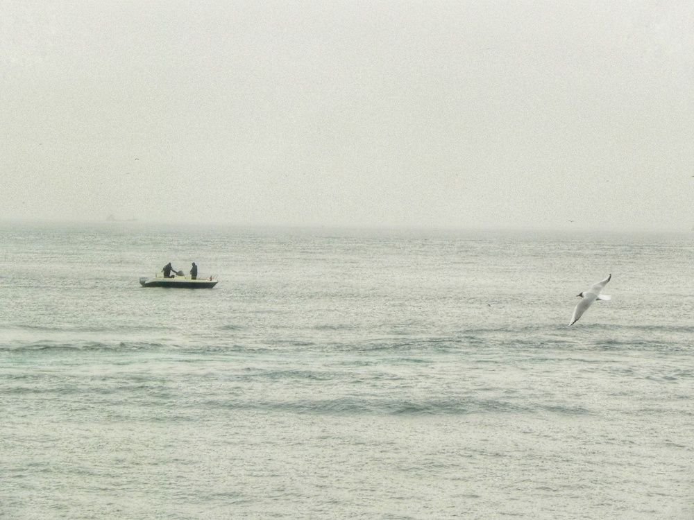 Photograph by fuat cimok