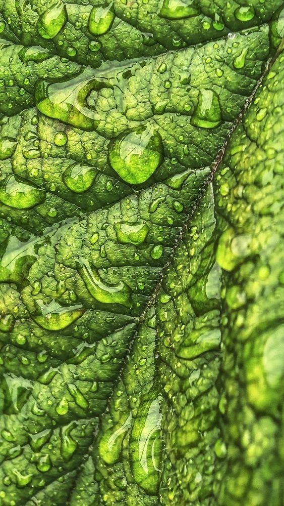 Photograph by Светлана Рубцова