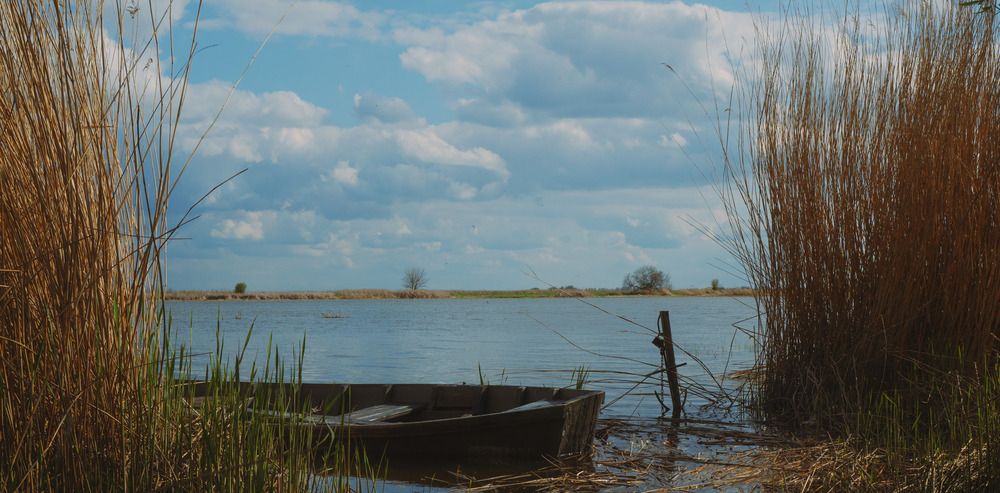 Photograph by Ирина Титаева