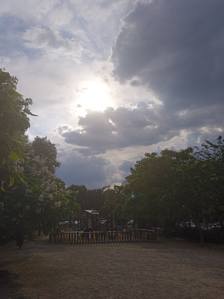 Photo #13647734