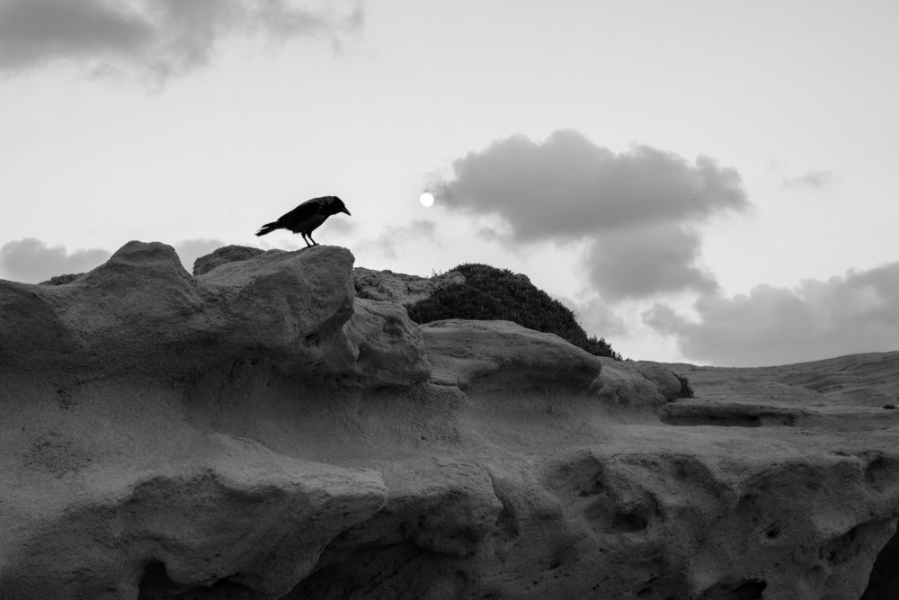 Photograph by Lana Weinstein