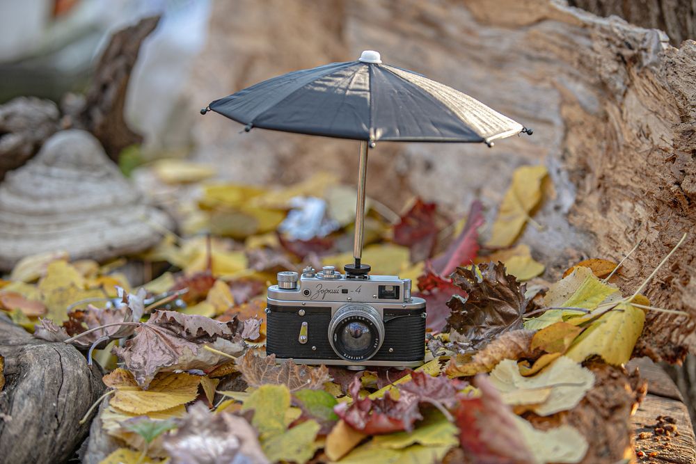 Photograph by Лупина Михаил