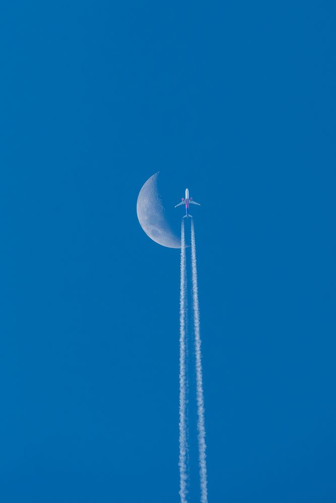 Photograph by Janusz Osika