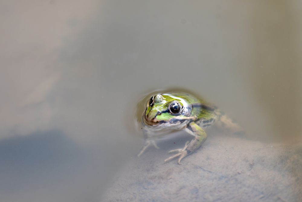Photograph by Janusz Osika