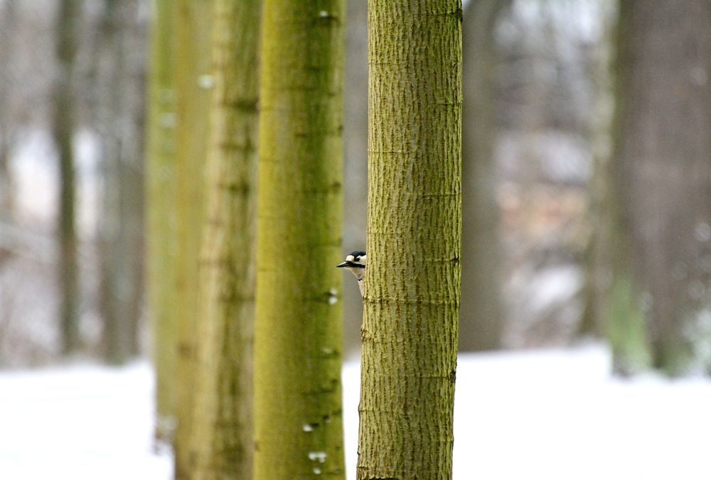 Photograph by Игорь Столяров