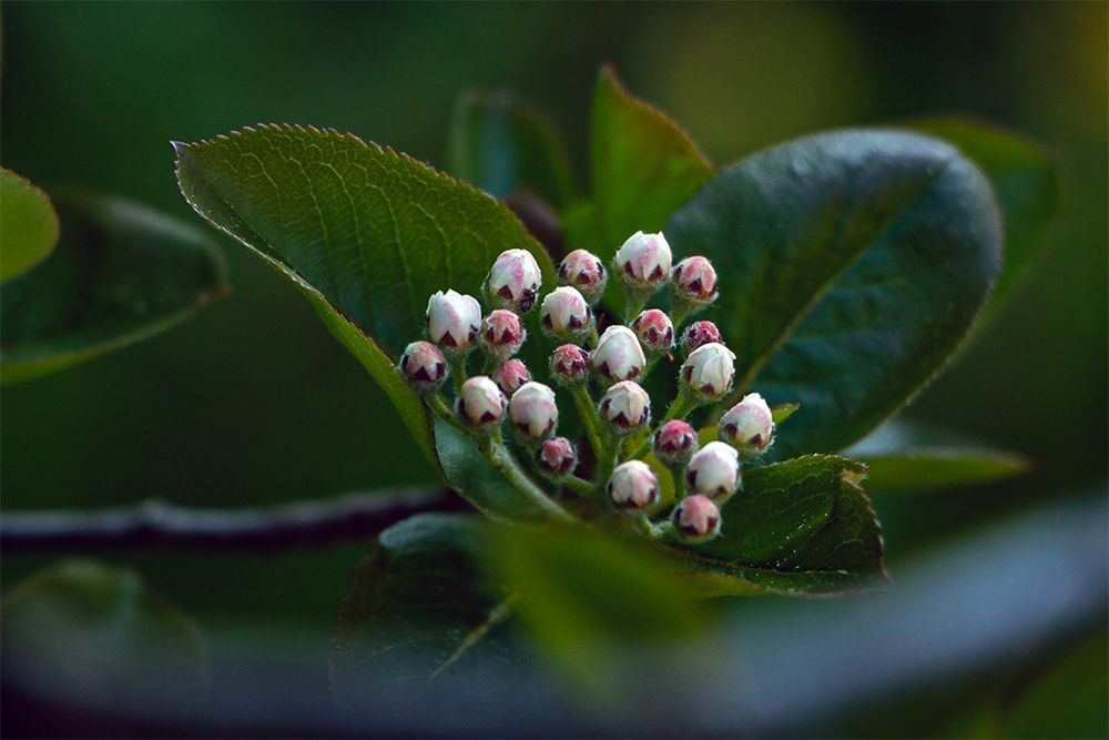 Photograph by Nadezhda Khrustaleva