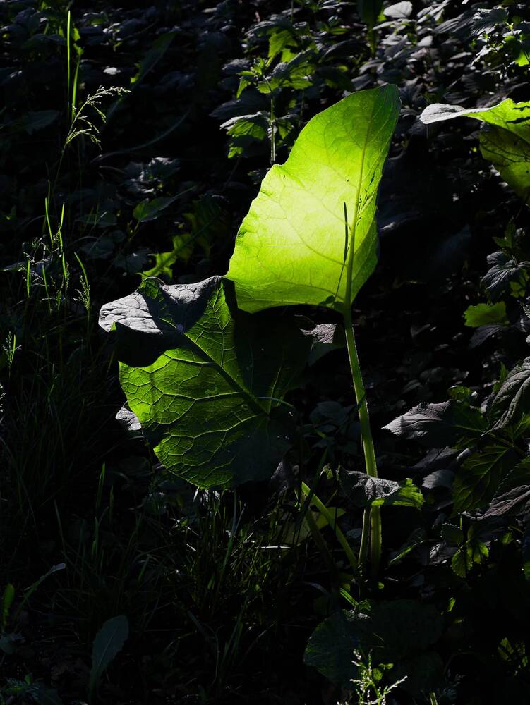 Photograph by Валерий Мыльников