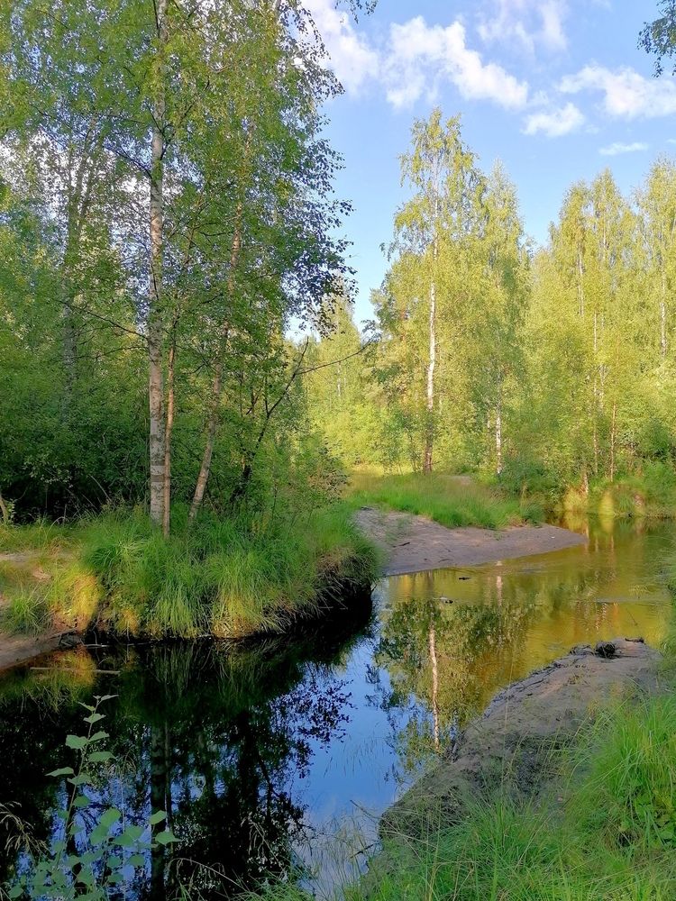 Зелёный уголок природы