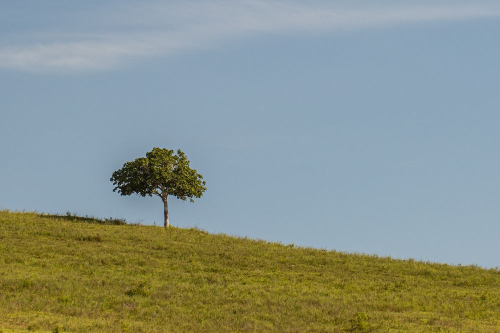 Photograph by Silvio José