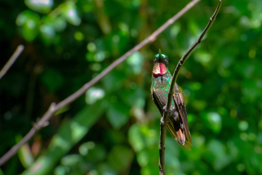 Photograph by Valmir Fernando da Silva