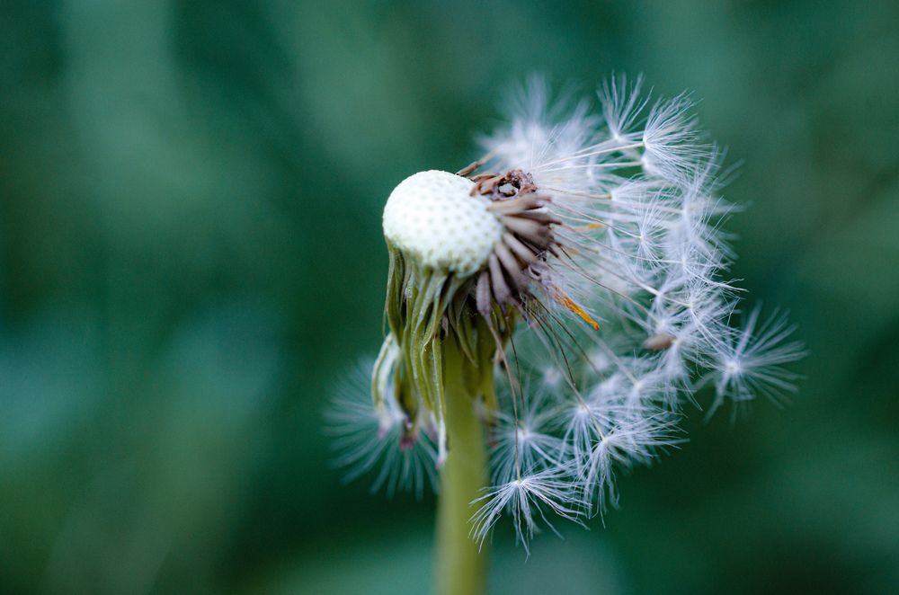 Photograph by Потапова Анна