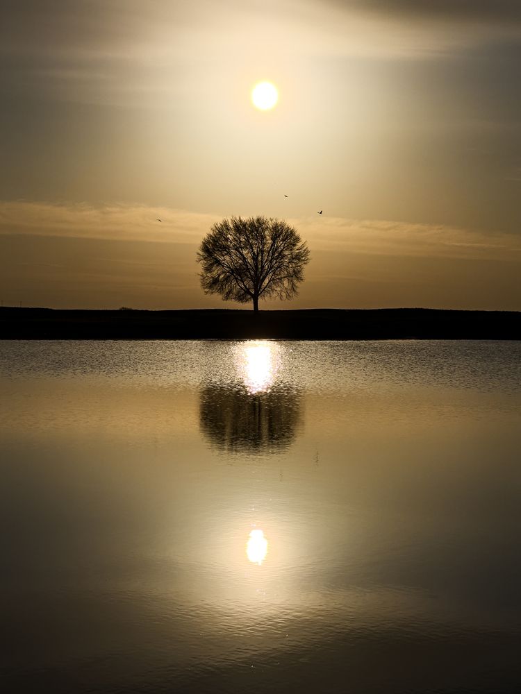 Photograph by Ольга Бибекина
