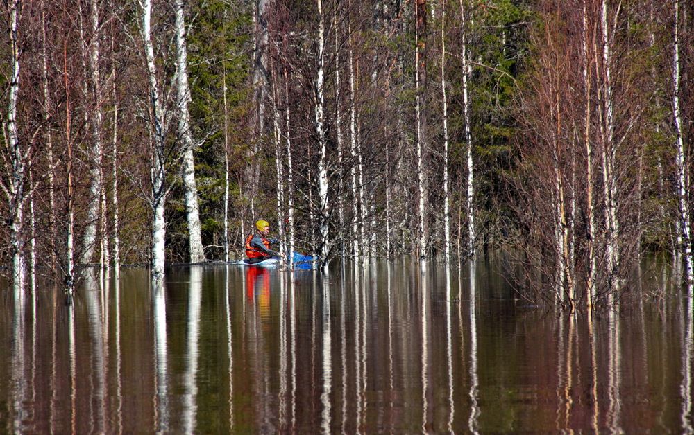 Фотография автора Лада Денисова