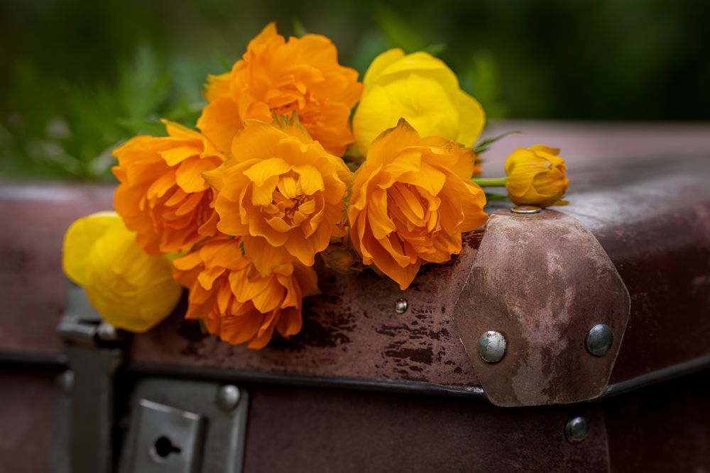 Photograph by Галина Павлова